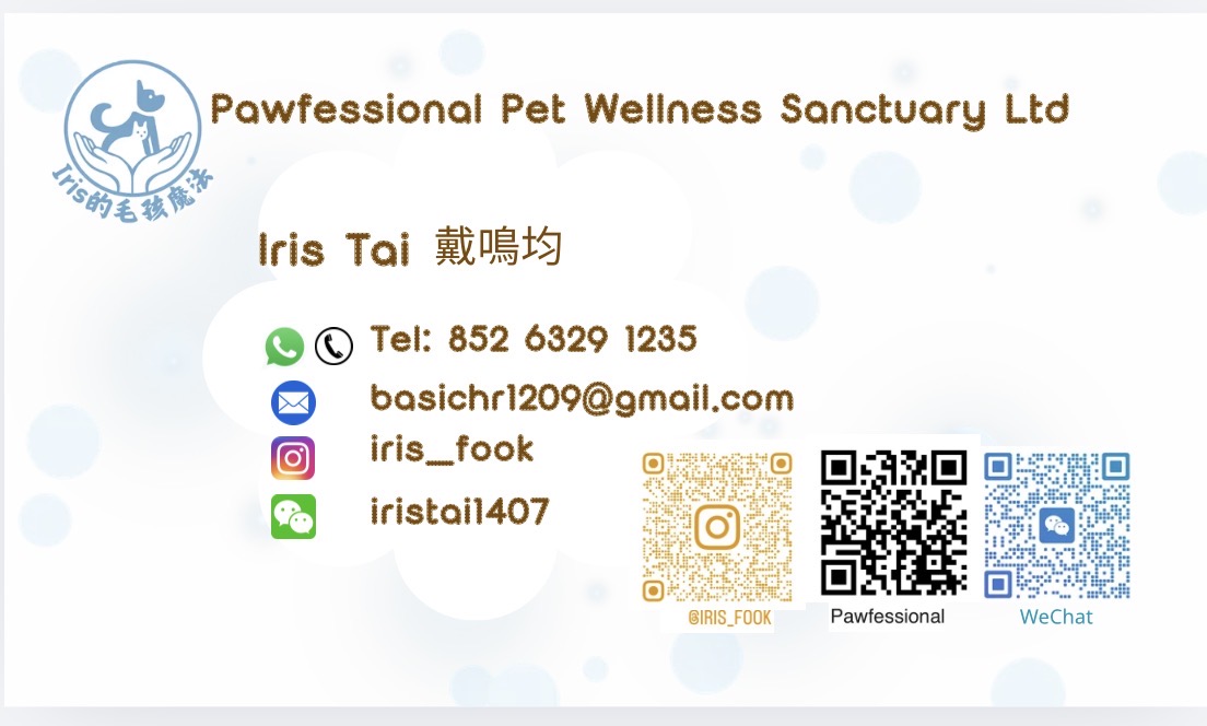 Iris Tai 戴鳴均的名片，列出電話、電郵、Instagram 及 WeChat